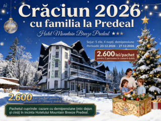 Oferta-Craciun-2026-mic